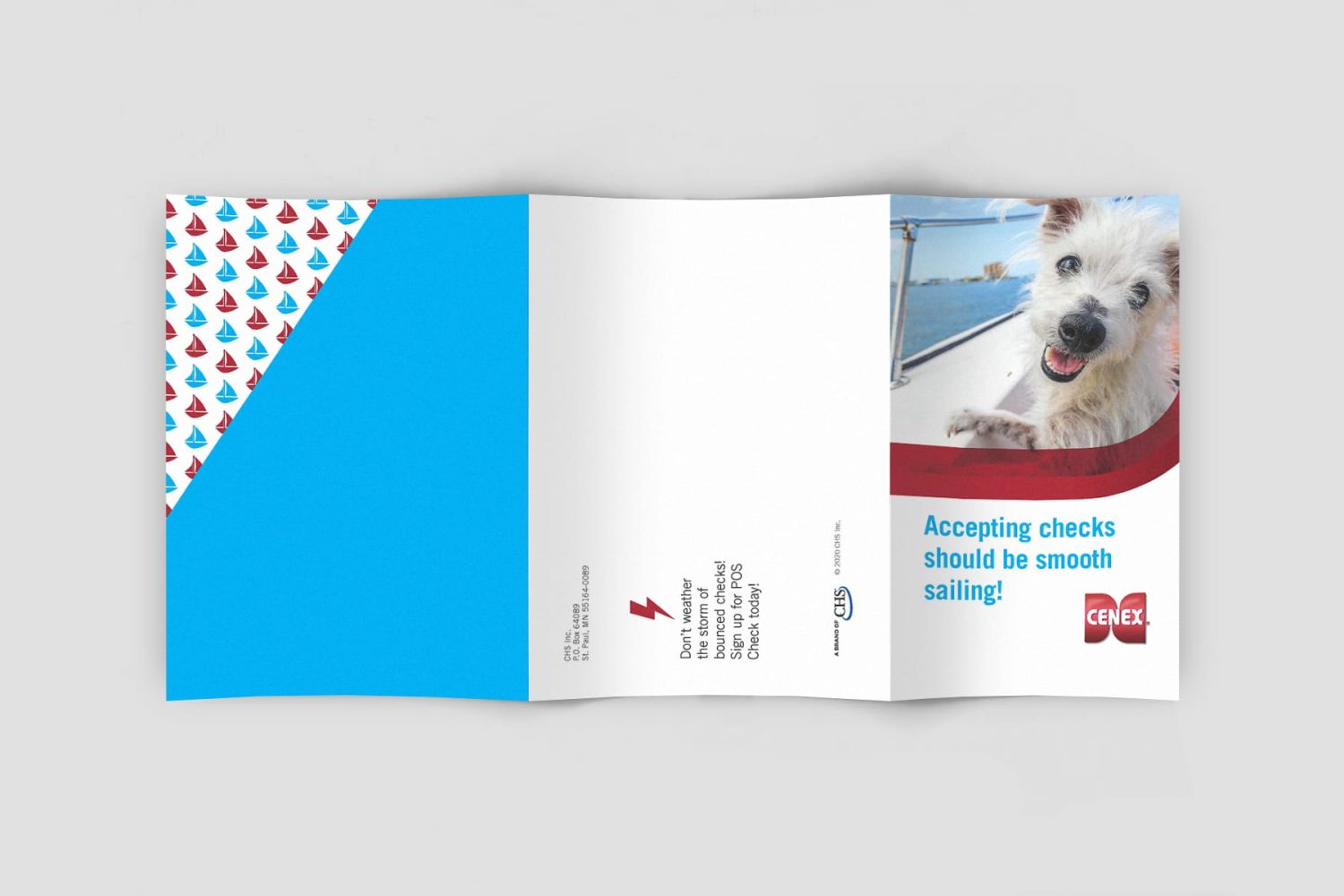 DirectCheckMailerMockup3_B_Cenex