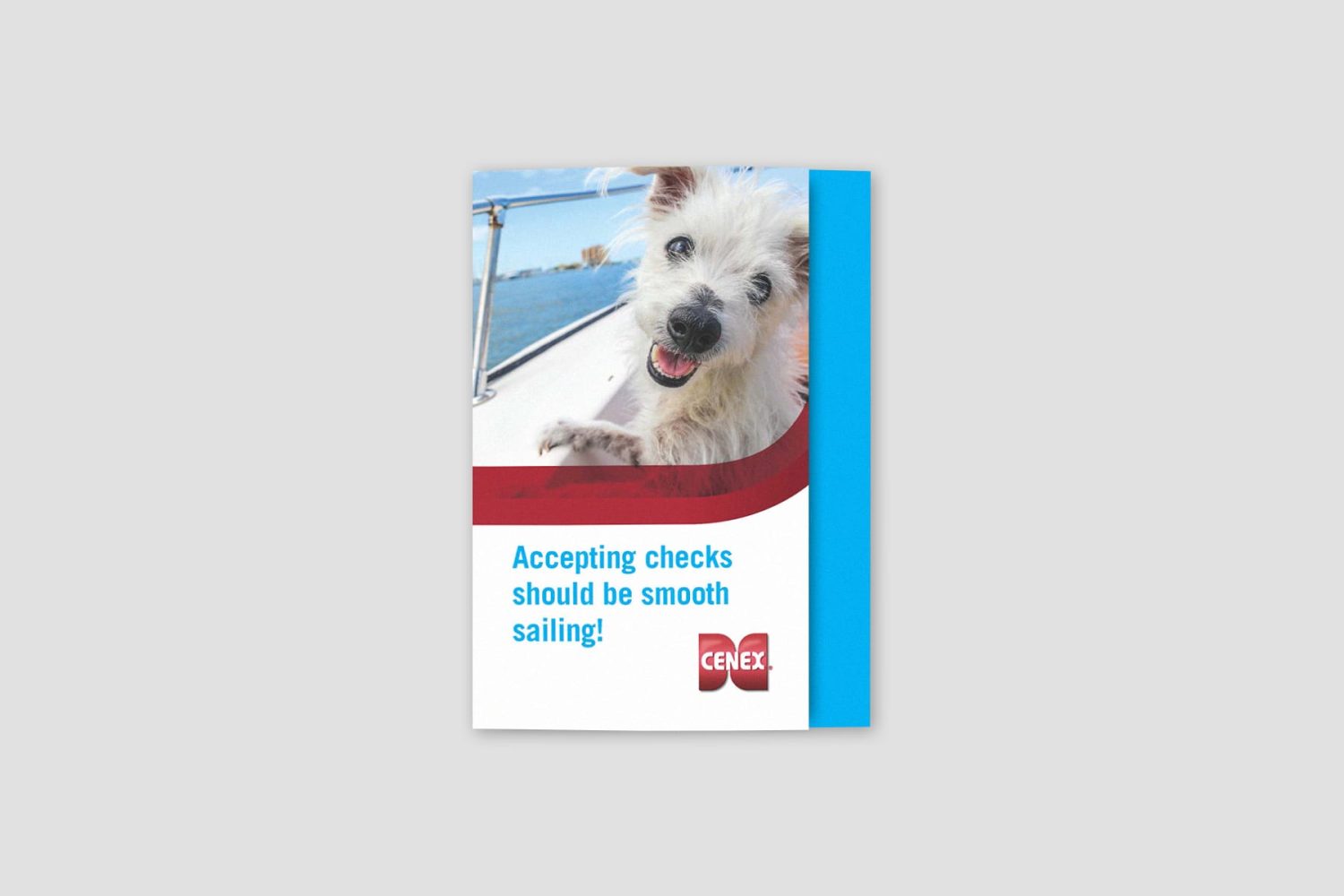 DirectCheckMailerMockup_Cenex